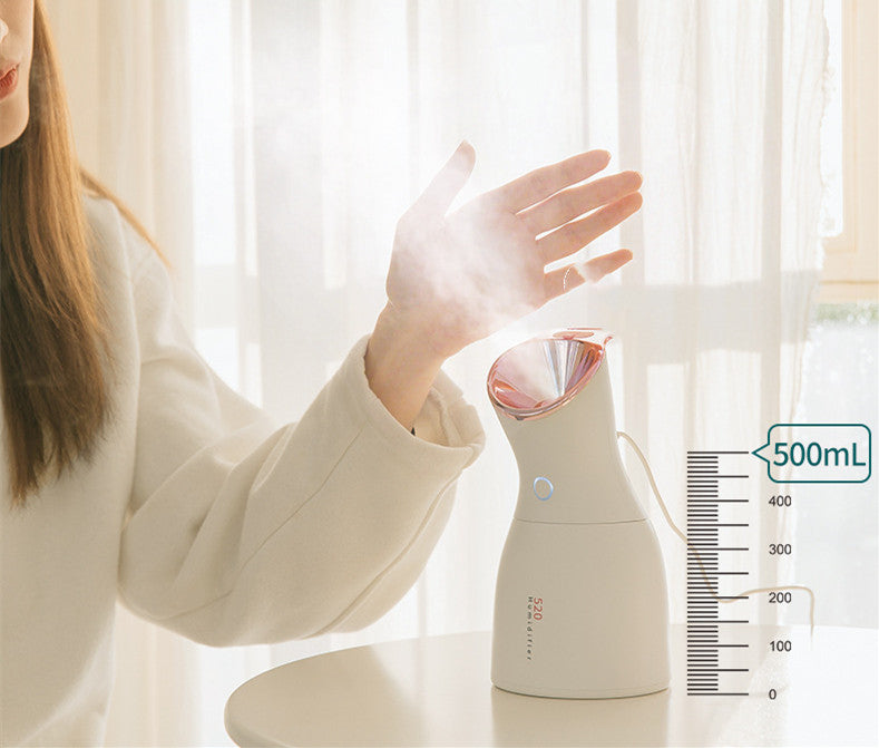 Beauty Humidifier Three-in-one